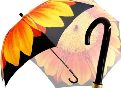 New Il Marchesato Classic con Disegno girasole