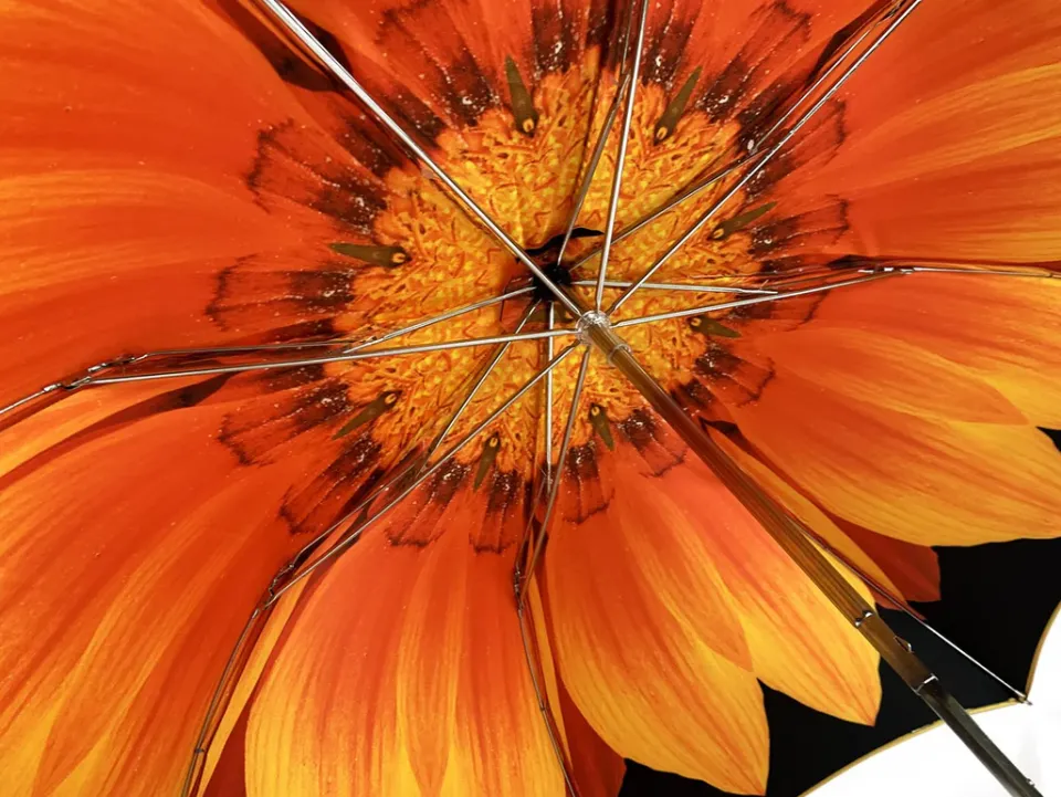 Outlet Il Marchesato Esclusivo ombrello disegno Girasole