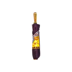 Best Il Marchesato Plum Majesty: Exclusive Umbrella in Plum Color with Ornamental Design